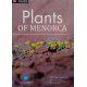 Plantas de Menorca