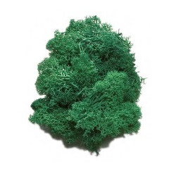 Musgo Verde