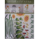 Pegatinas Pared - Home Stickers (Flores)